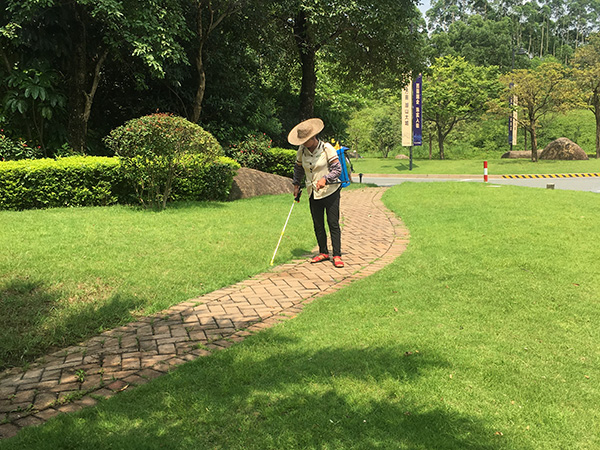 綠化養(yǎng)護(hù)