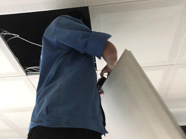 四害消殺