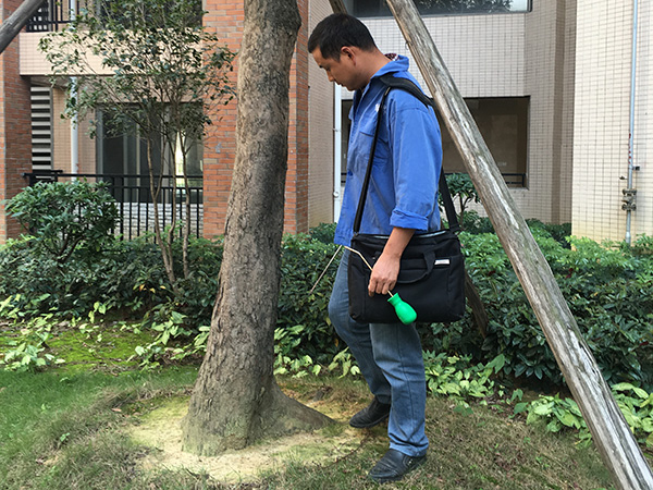 專業白蟻防治，為家筑牢安全防線